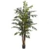 5 Foot Bamboo Palm Tree: Potted