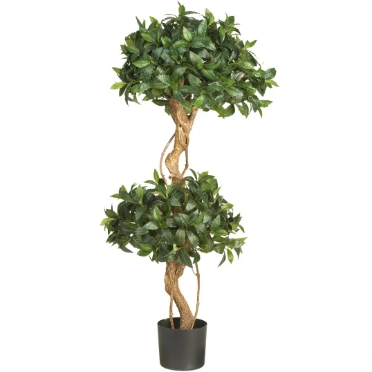 4 Foot Sweet Bay Double Ball Topiary: Potted 1 4 Foot Sweet Bay Double Ball Topiary: Potted