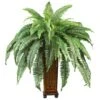 33 Inch Boston Fern In Decorative Wood Vase