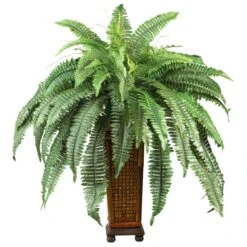 33 Inch Boston Fern In Decorative Wood Vase
