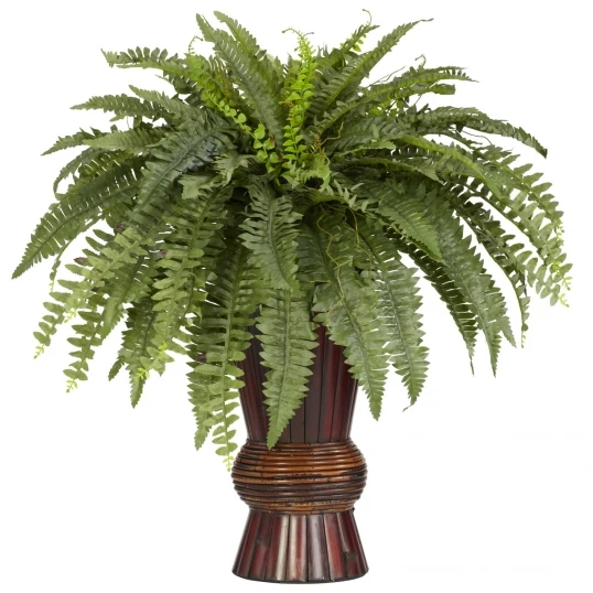 33 Inch Boston Fern In Bamboo Vase 1 33 Inch Boston Fern In Bamboo Vase