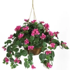 24 Inch Bougainvillea In Hanging Basket