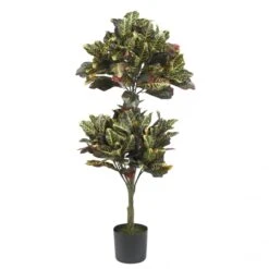 4.5 Foot Croton Topiary Tree: Potted