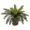 15 Inch Cycas Palms In Hexagon Planter