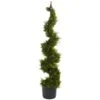 4 Foot Cypress Spiral Topiary With Finial: Potted