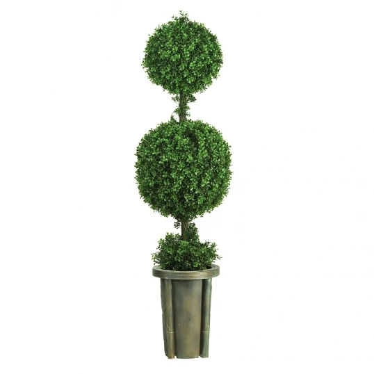 5 Foot Double Ball Leucodendron Topiary In Decorative Vase 1 5 Foot Double Ball Leucodendron Topiary In Decorative Vase