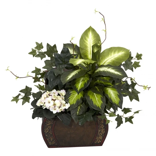 20 Inch African Violet, Dieffenbachia And Ivy In Chest 1 20 Inch African Violet, Dieffenbachia And Ivy In Chest