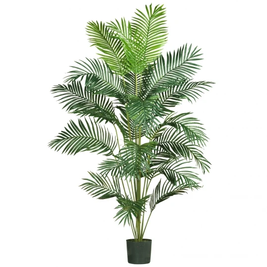 7 Foot Paradise Palm: Potted 1 7 Foot Paradise Palm: Potted