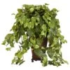 30 Inch Vining Pothos In Decorative Vase