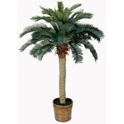 4 Foot Sago Palm Tree In Basket