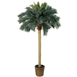 6 Foot Sago Palm Tree In Basket