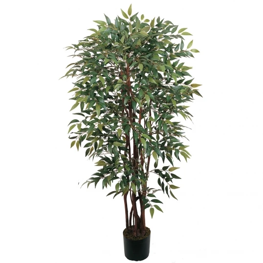 4 Foot Smilax Tree: Potted 1 4 Foot Smilax Tree: Potted