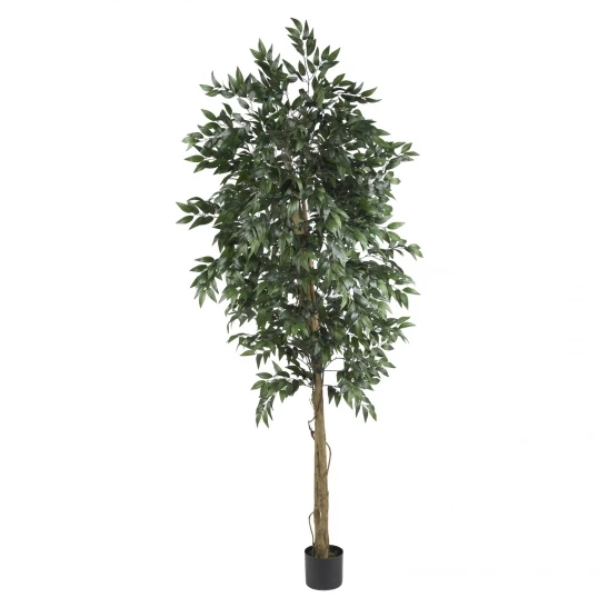 6 Foot Smilax Tree: Potted 1 6 Foot Smilax Tree: Potted