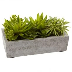 6.5 Inch Indoor Silk Succulent Garden Arrangement In Concrete Planter 5 6.5 Inch Indoor Silk Succulent Garden Arrangement In Concrete Planter -Artificial Plant Store NEA1393 ZM 3 538x538