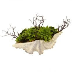 7 Inch Indoor Succulent Garden Arrangement In Decorative Seashell Base -Artificial Plant Store NEA1400 ZM 3 538x538