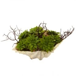 7 Inch Indoor Succulent Garden Arrangement In Decorative Seashell Base -Artificial Plant Store NEA1400 ZM 4 538x538