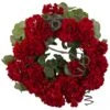 17 Inch Indoor Silk Geranium Wreath