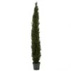 8 Foot Slim Cedar Pine Tree: Potted (Not UV Protected)