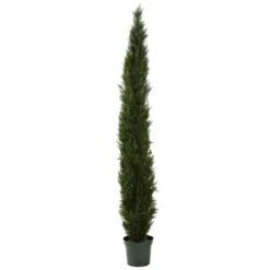 8 Foot Slim Cedar Pine Tree: Potted (Not UV Protected)