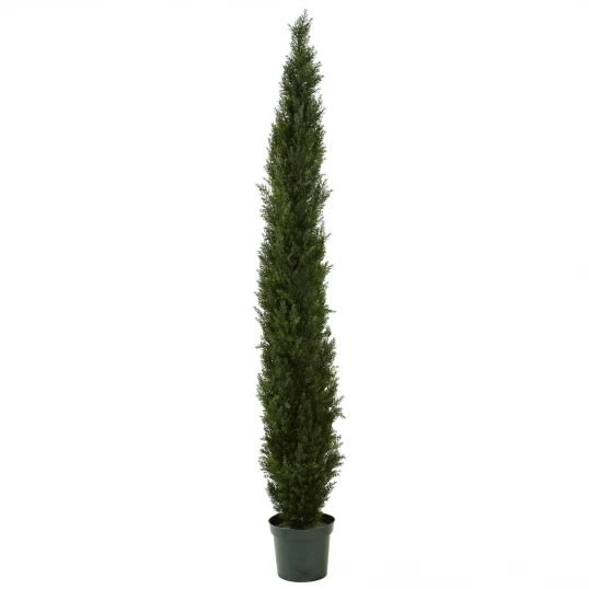 8 Foot Slim Cedar Pine Tree: Potted (Not UV Protected) 1 8 Foot Slim Cedar Pine Tree: Potted (Not UV Protected)
