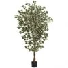 6 Foot Indoor (3 Trunk) Silk Hawaiian Ficus Tree: Potted