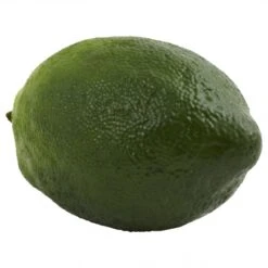 1 Dozen 3 Inch Faux Limes (Set Of 12) -Artificial Plant Store NEA1453 ZM 4 538x538