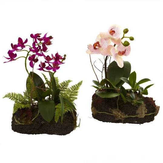 10 Inch Indoor Silk Orchid Island In Realistic Root Base (Set Of 2) 1 10 Inch Indoor Silk Orchid Island In Realistic Root Base (Set Of 2)