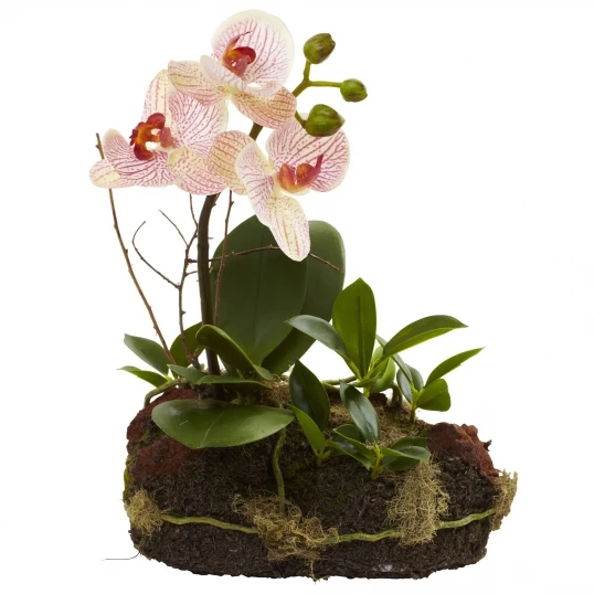 10 Inch Indoor Silk Orchid Island In Realistic Root Base (Set Of 2) 2 10 Inch Indoor Silk Orchid Island In Realistic Root Base (Set Of 2) - Image 2