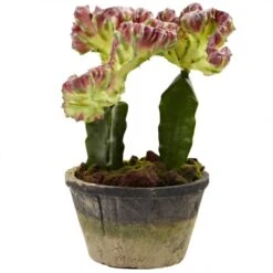 Indoor Silk Colorful Cactus Gardens (Set Of 2): Potted -Artificial Plant Store NEA1458 ZM 3 538x538