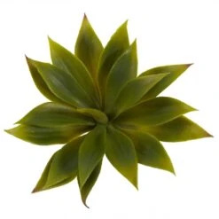 1 Dozen 5 Inch Indoor Silk Mini Agave Succulent Plants 6 1 Dozen 5 Inch Indoor Silk Mini Agave Succulent Plants -Artificial Plant Store NEA1462 ZM 3 538x538