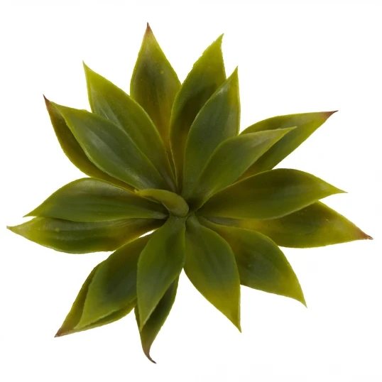 1 Dozen 5 Inch Indoor Silk Mini Agave Succulent Plants 3 1 Dozen 5 Inch Indoor Silk Mini Agave Succulent Plants - Image 3