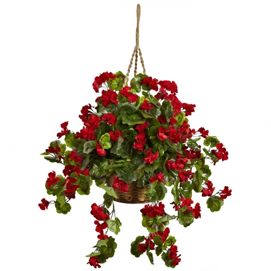 28 Inch Red Outdoor Geranium In Hanging Basket: Limited UV 1 28 Inch Red Outdoor Geranium In Hanging Basket: Limited UV