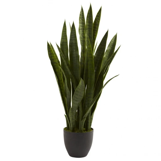 35 Inch Sansevieria In Black Decorative Planter 1 35 Inch Sansevieria In Black Decorative Planter