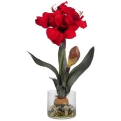 Amaryllis In Round Vase