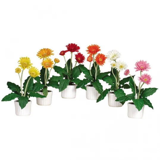 Colored Gerber Daisies In White Vases (Set Of 6) 1 Colored Gerber Daisies In White Vases (Set Of 6)