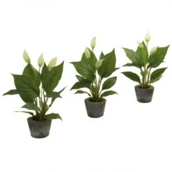11 Inch Artificial Spathyfillum In Cement Planter (Set Of 3)