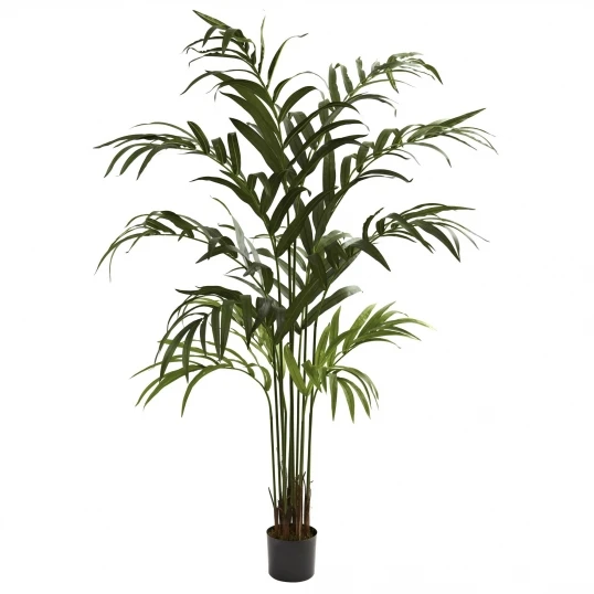 6 Foot Artificial Kentia Palm Tree: Potted 1 6 Foot Artificial Kentia Palm Tree: Potted
