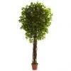 7.5 Foot Outdoor Artificial Ficus Tree: Limited UV