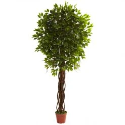 7.5 Foot Outdoor Artificial Ficus Tree: Limited UV