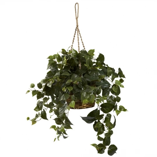30 Inch Wide Artificial Philodendron Hanging Basket 1 30 Inch Wide Artificial Philodendron Hanging Basket