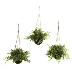 12 Inch Silk Eucalyptus, Maiden Hair & Berry Hanging Basket(Set Of 3)