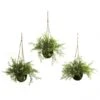15 Inch Silk Ruscus, Sedum & Springeri Hanging Basket (Set Of 3)