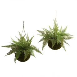 18 Inch Outdoor Leather Fern In Mossy Hanging Basket (Set Of 2) Limited UV Protection