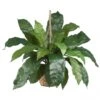34 Inch Wide Silk Large Birds Nest Fern Hanging Basket