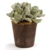 6 Inch Artificial Succulent Drop-In - CLOSEOUT