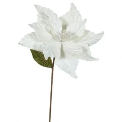 22 Inch Velvety Cream Poinsettia - 12 Inch Flower: Set Of 6