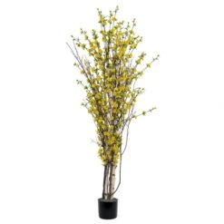 6 Foot Yellow Blossom Tree: Potted