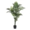 5 Foot Robellini Palm Tree: Limited UV