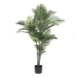 5 Foot Robellini Palm Tree: Limited UV