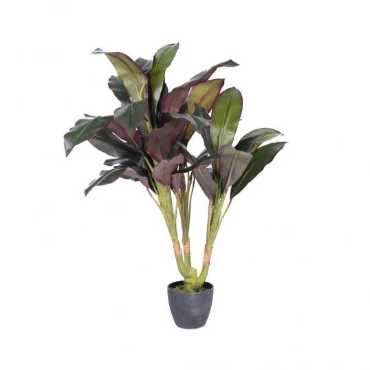 30 Inch Real Touch Dracaena: Potted 1 30 Inch Real Touch Dracaena: Potted